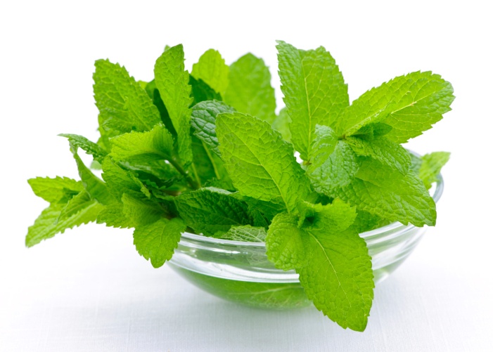 organic mint